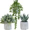 Set of 3 Mini Artificial Succulents in Gray Hexagon Ceramic Pots – Faux Small Potted Aloe, Hops & String of Pearls Plants for Modern Home, Office Desk, Kitchen & Shelf Decor